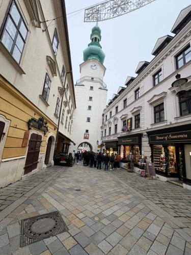 d2bee498-0582-434d-80e9-edb0b7a7a92f-1