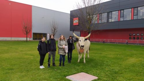 9b5a55c0-4edd-4e84-9af6-fcda02bfe7fc